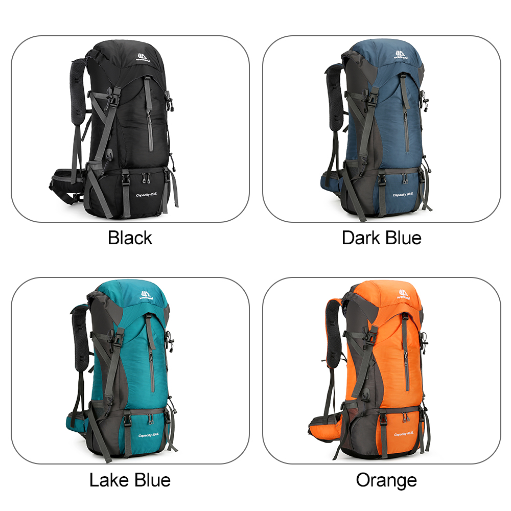 70L Travel Backpack Hiking Bac - Rain Cover Backpack 리뷰 및 가격