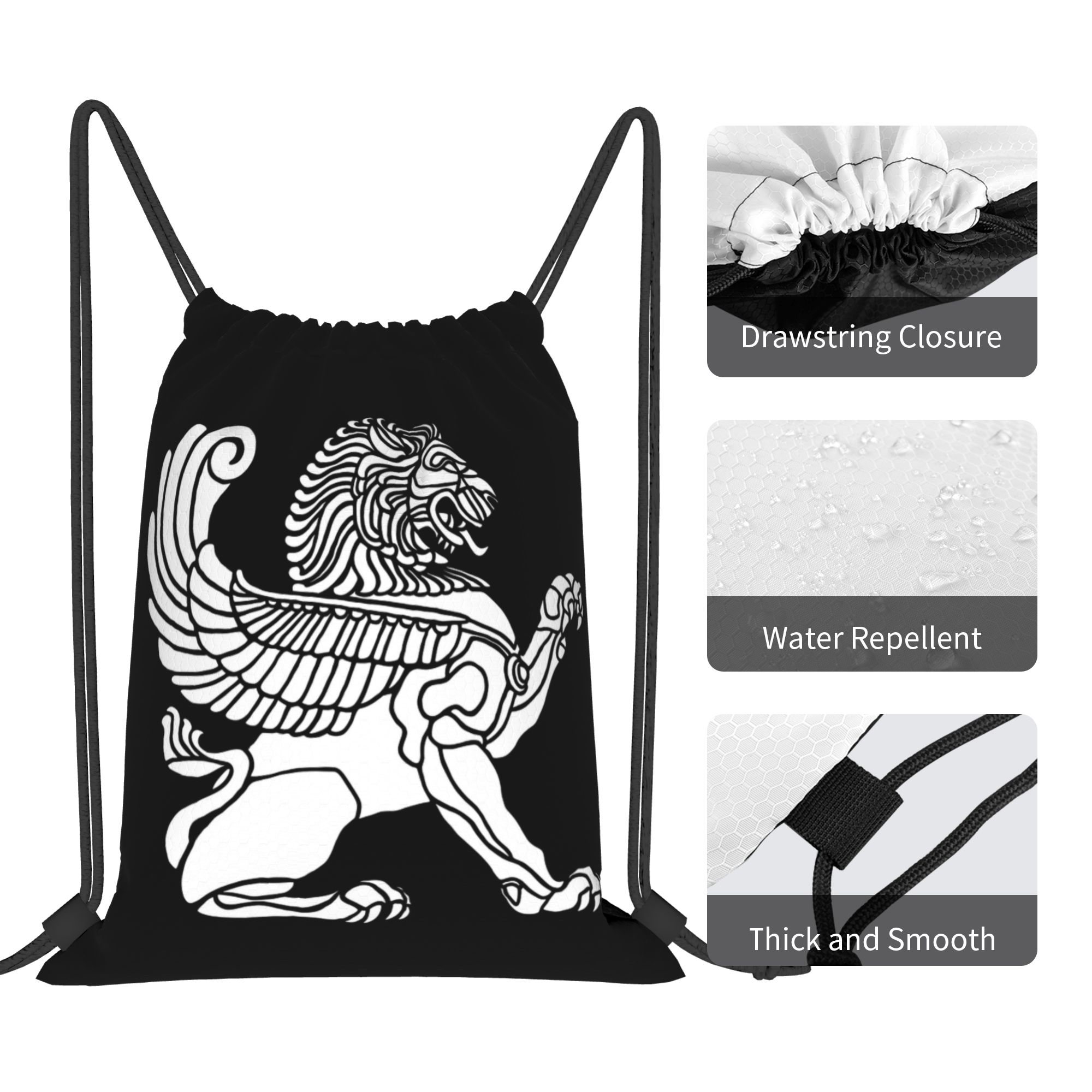 Persian Lion Iranian Iran Pers - Drawstring Gym Bag 리뷰 및 가격