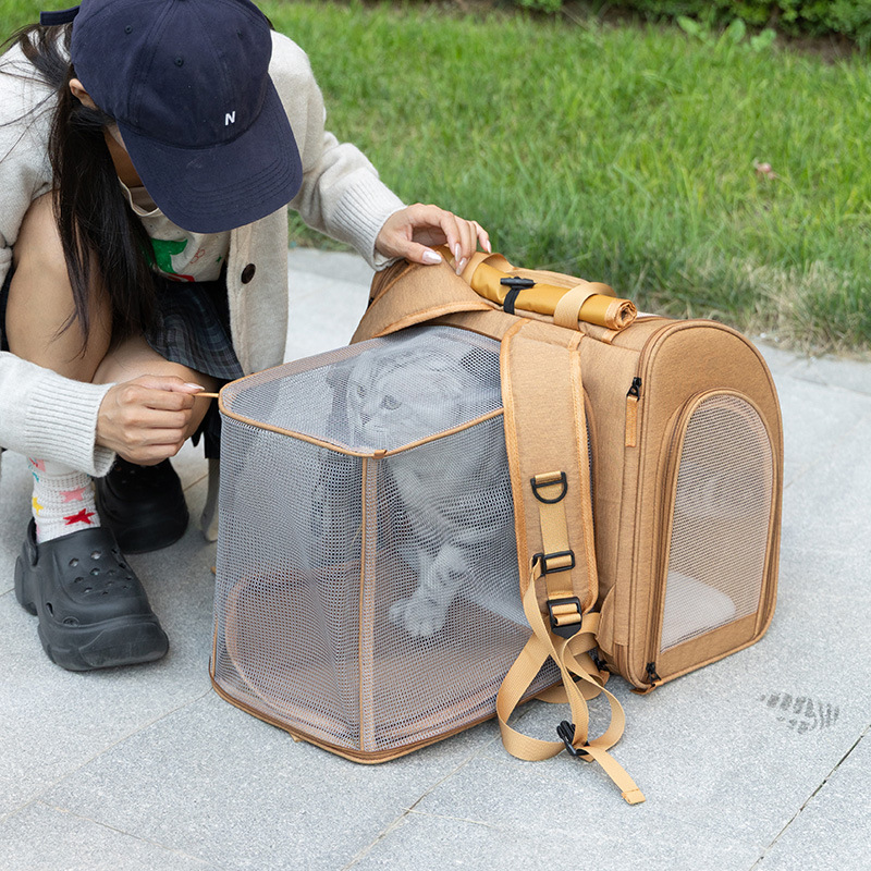 Portable cat bag, expandable l - Foldable Backpack Small 리뷰 및 가격