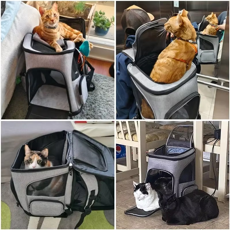 Cat Bag Outdoor Portable Cat B - Foldable Backpack Small 리뷰 및 가격