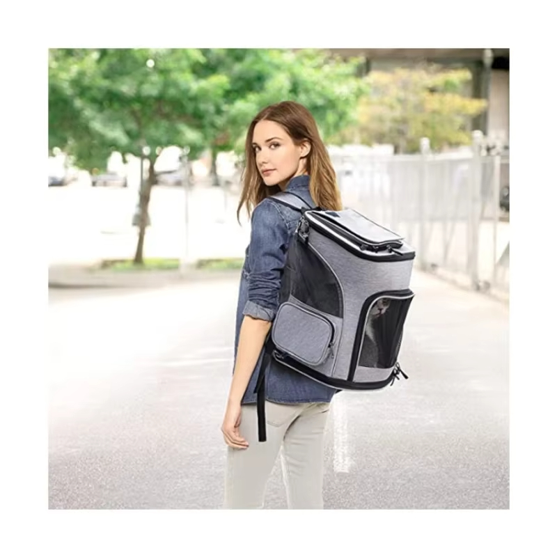 Cat Bag Outdoor Portable Cat B - Foldable Backpack Small 리뷰 및 가격
